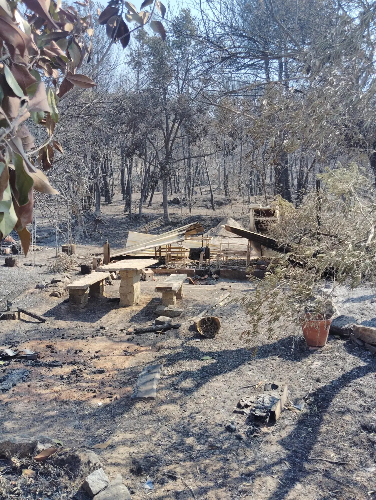 Ayudemos a Oskar a reconstruir su casita tras el incendio