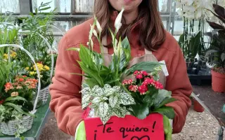 Un huerto para que 56 jóvenes con discapacidad intelectual aprendan un oficio