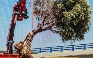 Nuestros barrios no son un circuito de F1