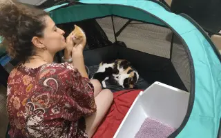 Ayuda para Intervenir de Hernia Diafragmática Grave a DORO 🐱💔