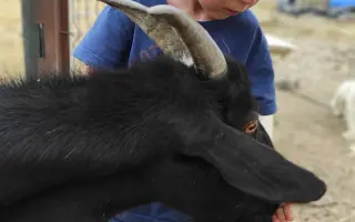 Pensé que perdería a mi hijo seis veces. Hoy sigo luchando por él