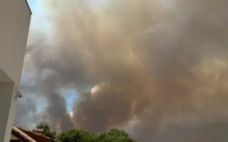 Ayudemos a la Sierra Oeste de Madrid tras los incendios