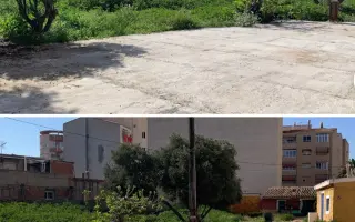La Casa de las Reinas: Un nuevo refugio para los cachorros más vulnerables