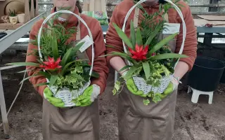 Un huerto para que 56 jóvenes con discapacidad intelectual aprendan un oficio