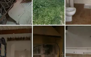 La Casa de las Reinas: Un nuevo refugio para los cachorros más vulnerables