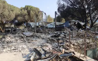 Ayuda para María y Max, afectados por el incendio de Navas del Rey