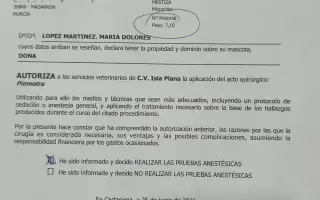 Ayuda urgente para mi perrita Donna