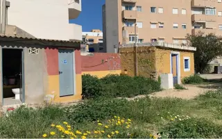 La Casa de las Reinas: Un nuevo refugio para los cachorros más vulnerables