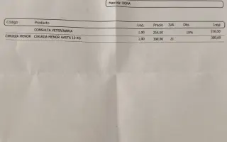 Ayuda urgente para mi perrita Donna