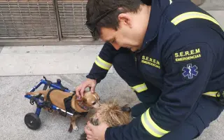 Equipo para Salvar Vidas