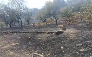 Ayúdame a reconstruir mi hogar tras el incendio