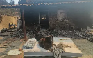 Ayúdame a reconstruir mi hogar tras el incendio