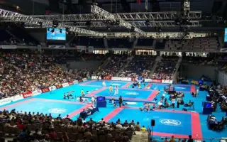 Recuperemos el Palacio de los Deportes de Madrid para el deporte y el barrio