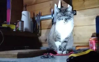 Ayudemos a Oskar a reconstruir su casita tras el incendio