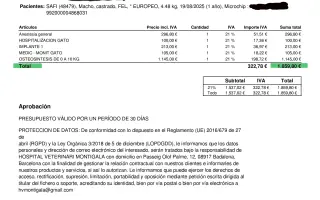 Ayudemos a que mi gatito Safi vuelva a caminar