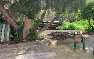 La Casa de las Reinas: Un nuevo refugio para los cachorros más vulnerables