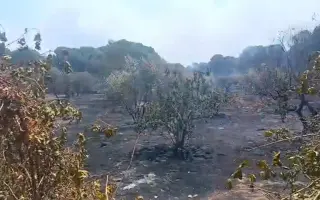 Ayúdame a reconstruir mi hogar tras el incendio