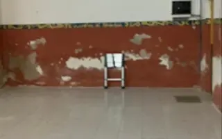 La Casa de las Reinas: Un nuevo refugio para los cachorros más vulnerables