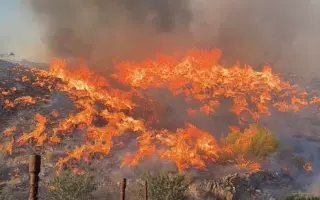 Ayudemos a Rubén a volver a empezar tras el incendio en Almería