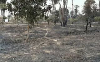 Ayuda a la Finca de Fausto tras los incendios