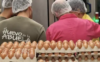 Reto de La Tortilla Más Grande Del Mundo