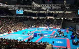 Recuperemos el Palacio de los Deportes de Madrid para el deporte y el barrio