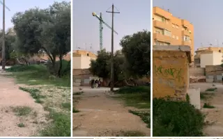 La Casa de las Reinas: Un nuevo refugio para los cachorros más vulnerables