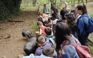 Que ninguna escuela rural cierre: comedor y transporte para niños en Galicia
