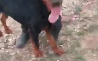 Justa murió de hambre. Salvemos a los que quedan