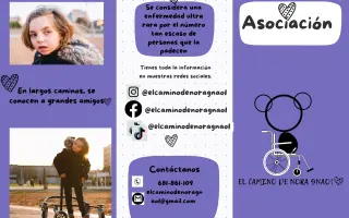 Ayúdanos a adaptar la furgoneta que Nora necesita