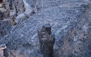 Ayuda a la Finca de Fausto tras los incendios