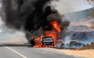 Ayudemos a la Sierra Oeste de Madrid tras los incendios