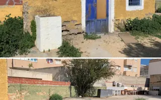 La Casa de las Reinas: Un nuevo refugio para los cachorros más vulnerables