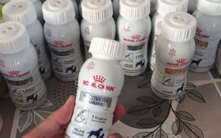 Donette lucha contra el cáncer y no quiere rendirse 🐩 💔