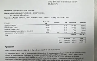 Ayuda para la cirugía urgente de Jagger ❤️‍🩹