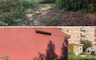 La Casa de las Reinas: Un nuevo refugio para los cachorros más vulnerables