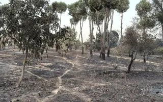 Ayuda a la Finca de Fausto tras los incendios