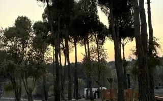 Ayuda a la Finca de Fausto tras los incendios
