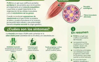 Frenemos la miopatía Plin-4