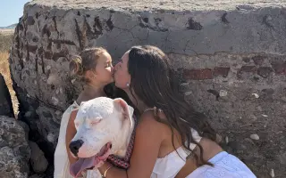 🐾 AYUDA A MAYA🐾❤️‍🩹
