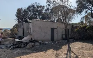 Ayuda para María y Max, afectados por el incendio de Navas del Rey