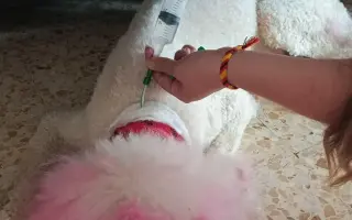 Donette lucha contra el cáncer y no quiere rendirse 🐩 💔