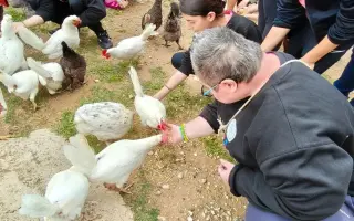 Ayúdanos a adaptar el centro Magic Eagle para personas con discapacidad