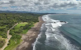 DELT Project: Una nueva esperanza para las tortugas marinas