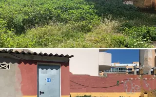 La Casa de las Reinas: Un nuevo refugio para los cachorros más vulnerables
