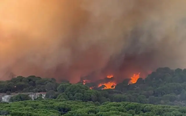 Ayudemos a la Sierra Oeste de Madrid tras los incendios